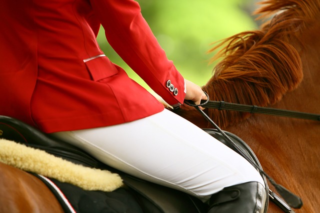 Claiming for Horse Riding Injuries